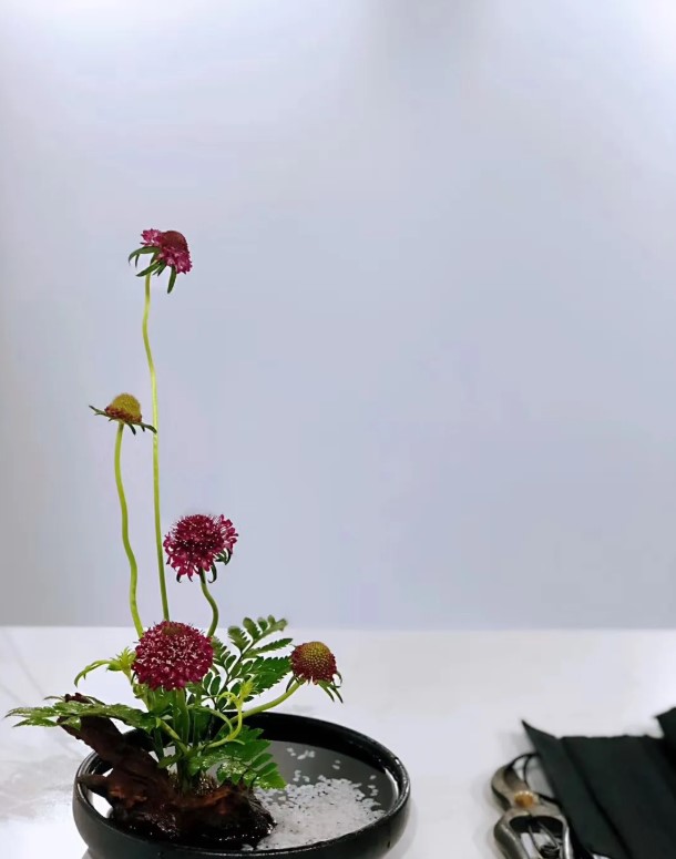 1593665617464199.jpg