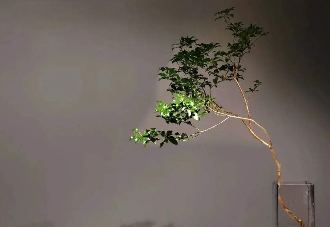 1631857435402276.png